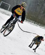 Marek Długołęcki  i jego Zoja pokazują, na czym polega bikejoring  