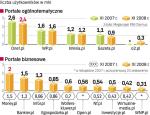 Niemal wszystkim stronom wyłącznie biznesowym w ostatnim roku przybyło odwiedzających. Z kolei ekonomiczne serwisy  popularnych portali co najwyżej odnotowały takie same wyniki.  Kilka z nich, jak Onet.pl czy Gazeta.pl, miało mniej użytkowników. 