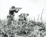 Żołnierze 1. Dywizji Marines podczas walk na wzgórzach Wana pod Shuri, koniec kwietnia 1945 r.