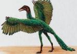 Praptak Archaeopteryx lithographica był wielkości gawrona. Miał uzbrojony w zęby pysk i pazury na skrzydłach