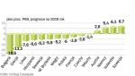 Prognozy na 2009 r. dla większości krajów unijnych nie są najlepsze. Ich gospodarki będzie musiał podtrzymywać popyt wewnętrzny, a optymizm konsumentów słabnie. 