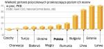 Rezerwy walutowe większości państw nie wystarczają, aby  spłacić ich krótkoterminowe zadłużenie. Ekonomiści ostrzegają, że niektóre z nich mogą mieć problem z pozyskaniem środków. 