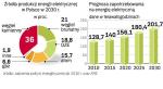 Odnawialne źródła i wprowadzenie energetyki jądrowej znacząco zmienią bilans energetyczny kraju. Obecnie z węgla kamiennego i brunatnego produkuje się ponad 90 proc. energii.