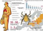 W Europie Środkowej to Austria najlepiej zabezpieczyła się przed kleszczowym zapaleniem mózgu. Szczepieniami przeciw tej chorobie objęto aż 87 proc. ludzi żyjących w tym kraju. W efekcie odnotowuje się tam znikomą liczbę przypadków KZM.  W Polsce do tej pory zaszczepiło się mniej niż 1 proc. osób, mimo że w dużej części kraju ryzyko zakażenia jest bardzo wysokie. Powinien to zrobić każdy, kto przebywa – choćby przez krótki czas – na łące lub w lesie, zwłaszcza rolnicy i grzybiarze.