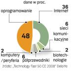 Producenci oprogramowania, zwłaszcza mającego zastosowanie w Internecie,  są motorami rynku IT. 