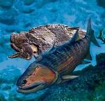 Ryba sprzed 419 mln lat  to najstarszy tak kompletny okaz kręgowca wyposażonego w szczęki