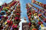 Długie, barwne palmy wywodzą się od gałęzi palmowych, którymi tłum pozdrawiał wjeżdżającego do Jerozolimy Jezusa