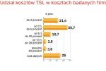 Wykres 3 - Udział w kosztach działalności głównego partnera TSL