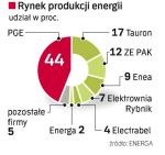 Na giełdę trafia ok. 2 proc. wytwarzanej w kraju energii. W kolejnych latach będzie to coraz więcej: w 2011 r. – 30 proc., a od 2013 r. – całość.