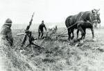 Francuski żołnierz orze pole podczas tzw. dziwnej wojny, wiosna 1940 r. 