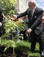 Maestro Krzysztof Penderecki zasadził pierwszy klon  w Alei Kompozytorów przy siedzibie Sinfonii Varsovii 