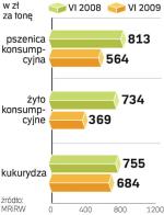 Zboże