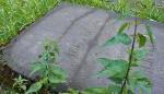 Grób na starym cmentarzu żydowskim w Częstochowie, w którym pochowani są dziadek  Davida Milibanda i jego prababka