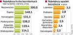 Największy spadek bezrobocia odnotowano w województwie lubelskim. Najmniejszy – o 0,4 proc. – w Małopolsce. 
