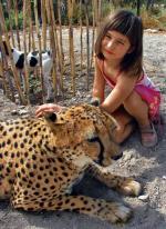 Nina Mikołajczuk na prywatnej farmie opiekującej się gepardami