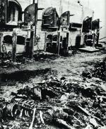 Szczątki i prochy ludzkie w krematorium obozowym na Majdanku, fotografia z 1944 r.