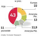 Azja górą w sieci. W 2013 r. prawie połowa z 2,2 mld internautów będzie pochodzić z Azji. Tylko w Chinach będzie ich 377 mln. 