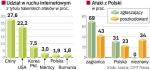 Polska w globalnej sieci internetowej 