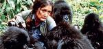 Dian Fossey, również protegowana Leakeya, podjęła pracę badawczą nad gorylami górskimi w lasach Rwandy  