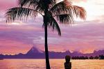Polinezyjskie wakacje