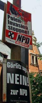 Mieszkańcy Görlitz, oburzeni antypolską kampanią NPD (u góry), wywiesili  400 plakatów potępiających działania  tej partii