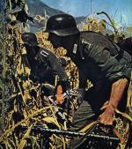 Żołnierze Wehrmachtu podczas walk na Kubaniu, lato 1942 r.