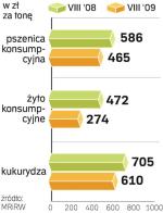 Zboże