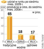 Rosjanie chętnie korzystają z elektrowni wodnych. Powód to niższe koszty energii. 