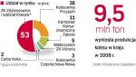 Po Chinach, a przed Rosją – Polska jest drugim co do wielkości światowym eksporterem tego surowca. Z danych resortu gospodarki wynika, że w ubiegłym roku Chiny wyeksportowały 12,2 mln ton koksu, Polska 5,4 mln ton, a Rosja 3 mln ton. 