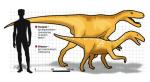 Szczątki tych dwóch dinozaurów to najcenniejsze odkrycia na terenie naszego kraju. Drapieżnik z Lisowic, teropod, miał  5 – 7 m długości, dużą głowę, dwie długie, chwytne przednie łapy i tylne kończyny z wielkimi pazurami. Żył ok. 200 mln lat temu. Silesaurus opolensis z Krasiejowa był roślinożernym, szybko biegającym pradinozaurem. Żył ok. 230 mln lat temu. 