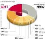 Chiny, USA, Rosja i Indie wyprzedzają Japonię w niechlubnej statystyce emisji dwutlenku węgla. Ale tylko Japonia zapowiedziała, że postara się ograniczyć zanieczyszczenia.