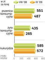 Zboże