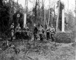 Żołnierze niemieccy w lesie na linii demarkacyjnej między III Rzeszą i ZSSR. Początek października 1939 r.
