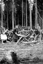 Zesłane na Sybir kobiety polskie zmuszano do pracy ponad siły – m.in. przy wyrębie lasów