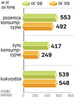 Zboże