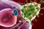 Wirus HIV wnika do komórki w organizmie człowieka.  Wewnątrz tej komórki powstaną nowe kopie wirusa, a uszkodzenie układu odpornościowego doprowadzi do rozwoju AIDS