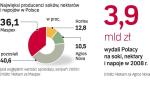 Trzech graczy walczy najostrzej. Na polskim rynku napojów dominują firmy z polskim kapitałem. Od wielu lat niepokonanym liderem jest Maspex.  O drugie miejsce rywalizują Agros Nova i Hortex. 