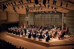 Litewska Państwowa Orkiestra Symfoniczna w tym roku obchodzi 20-lecie działalności. Przez te dwie dekady zdobyła uznanie zarówno w swoim kraju, jak i w Europie