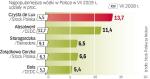 W ciągu tego roku na pozycję lidera wysunął się Stock Polska. Awans zawdzięcza głównie popularności marki Czysta de Lux. 