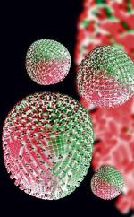 Nowy wirus grypy A/H1N1 zabił już niemal 5 tysięcy osób, głównie w obu Amerykach