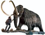 To nie ludzie spowodowali wymieranie wielkich mamutów