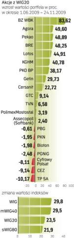Akcje 20 największych  spółek giełdowych