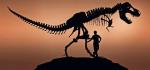 Tyrannosaurus rex. Szkielet „Stan” wydobyty  i spreparowany przez Black Hills Institute. Przydomek zawdzięcza swemu odkrywcy, którym był Stan Sacrison.