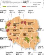 W większości powiatów wzrost bezrobocia pozwalają ograniczyć pieniądze z Funduszu Pracy oraz programów unijnych. 