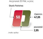 Choć Elektrim jest mniejszościowym udziałowcem ZE PAK, sprawuje nad nim kontrolę  operacyjną. 