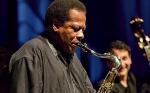 Wayne Shorter brawurowo poprowadził swój kwartet podczas występu na Torwarze  