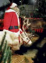 Temu, co zaplanowano w Wilanowie nie oprze się nawet Święty Mikołaj