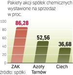 Chemia do wzięcia. MSP i Nafta Polska chcą sprzedać większościowe pakiety akcji dwóch firm azotowych  i 1/3 akcji Ciechu. 