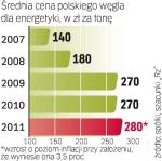 Energetyka zużywa 42 mln ton węgla rocznie. Gospodarstwo domowe – ok. 15 ton. Jednak zdaniem górników dopiero w tym roku ceny dla elektrowni pokryły koszty paliwa.