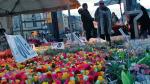 Mimo siarczystych mrozów na ulicach Kopenhagi kwitną tulipany
